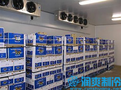 葡萄冷库