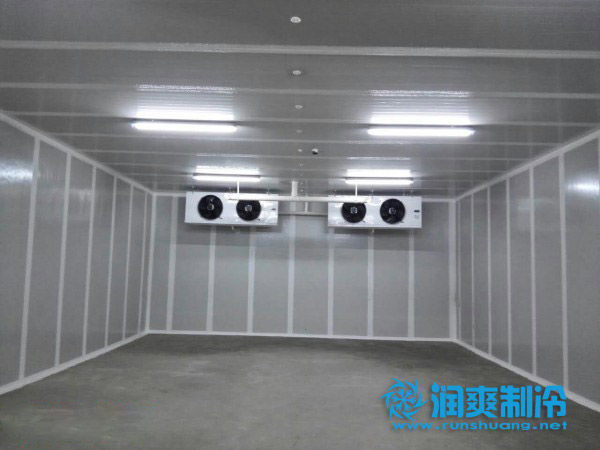 200吨气调冷库