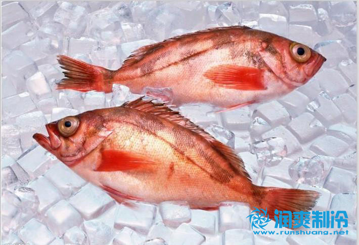 海鲜冷库