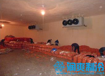 水果保鲜冷库