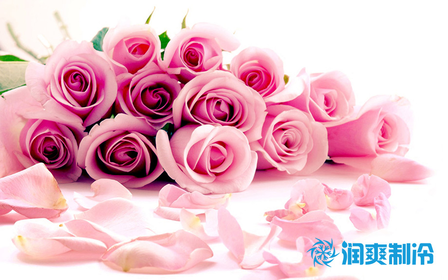鲜花保鲜