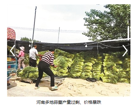 大蒜冷库