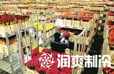 冷库