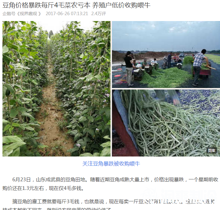 豆角