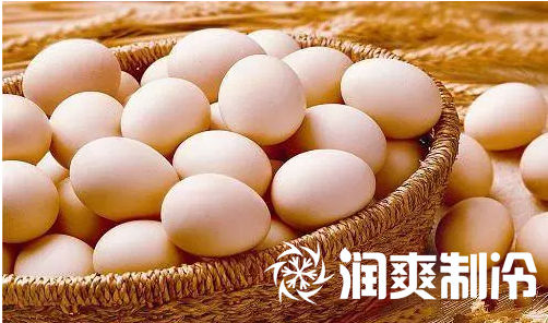 鸡蛋
