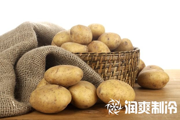 土豆