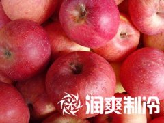 ƻⰲװǮ