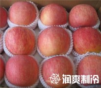 ʹƻؿע